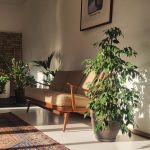 Lynxstudio.Berlin